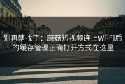 别再瞎找了：蘑菇短视频连上Wi‑Fi后的缓存管理正确打开方式在这里