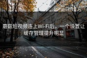 蘑菇短视频连上Wi‑Fi后，一个设置让缓存管理提升明显