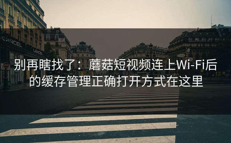 别再瞎找了：蘑菇短视频连上Wi‑Fi后的缓存管理正确打开方式在这里