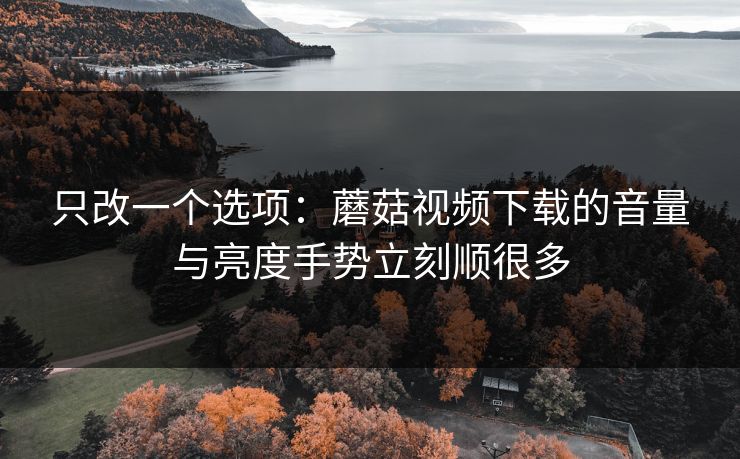 只改一个选项：蘑菇视频下载的音量与亮度手势立刻顺很多