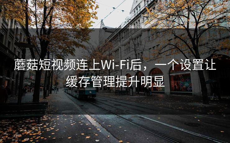 蘑菇短视频连上Wi‑Fi后，一个设置让缓存管理提升明显