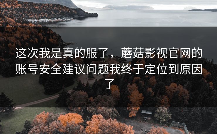 这次我是真的服了，蘑菇影视官网的账号安全建议问题我终于定位到原因了