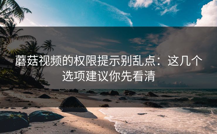 蘑菇视频的权限提示别乱点：这几个选项建议你先看清
