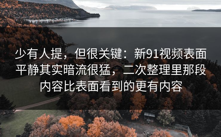 少有人提，但很关键：新91视频表面平静其实暗流很猛，二次整理里那段内容比表面看到的更有内容