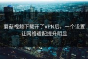 蘑菇视频下载开了VPN后，一个设置让网络适配提升明显