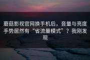 蘑菇影视官网换手机后，音量与亮度手势居然有“省流量模式”？我刚发现