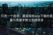 只改一个选项：蘑菇视频app下载的音量与亮度手势立刻顺很多