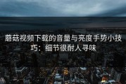 蘑菇视频下载的音量与亮度手势小技巧：细节很耐人寻味