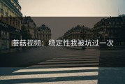 蘑菇视频：稳定性我被坑过一次