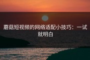 蘑菇短视频的网络适配小技巧：一试就明白
