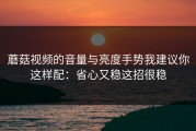 蘑菇视频的音量与亮度手势我建议你这样配：省心又稳这招很稳