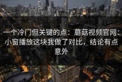 一个冷门但关键的点：蘑菇视频官网：小窗播放这块我做了对比，结论有点意外