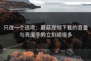 只改一个选项：蘑菇视频下载的音量与亮度手势立刻顺很多