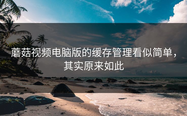 蘑菇视频电脑版的缓存管理看似简单，其实原来如此