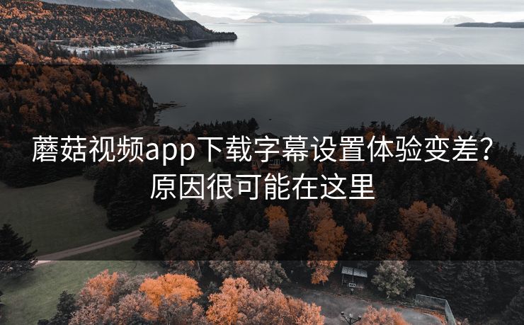 蘑菇视频app下载字幕设置体验变差？原因很可能在这里