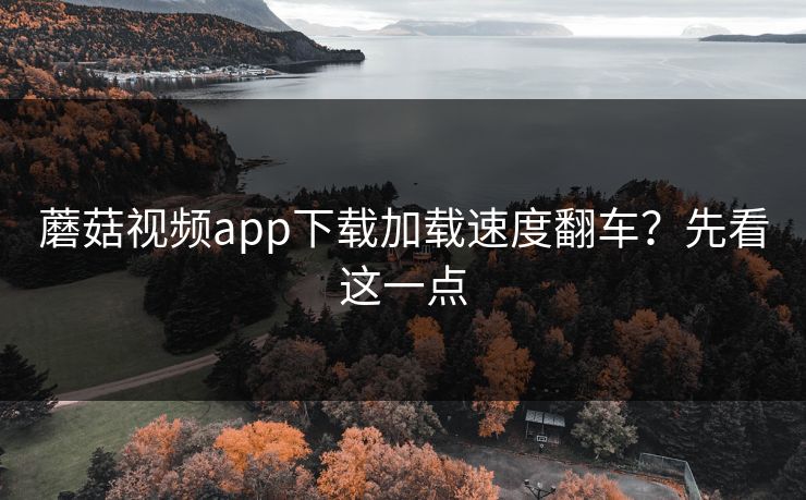 蘑菇视频app下载加载速度翻车？先看这一点