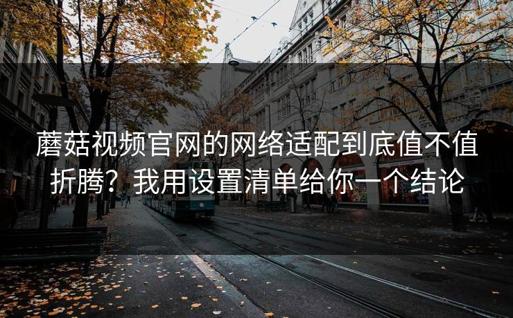 蘑菇视频官网的网络适配到底值不值折腾？我用设置清单给你一个结论