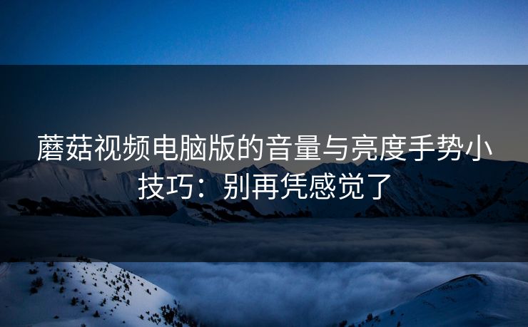 蘑菇视频电脑版的音量与亮度手势小技巧：别再凭感觉了