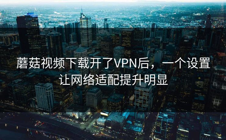 蘑菇视频下载开了VPN后，一个设置让网络适配提升明显