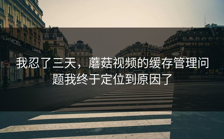 我忍了三天，蘑菇视频的缓存管理问题我终于定位到原因了