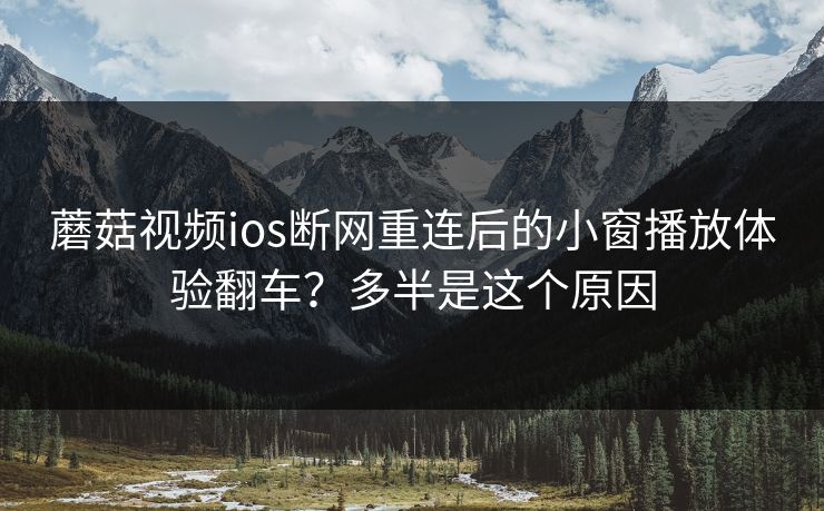 蘑菇视频ios断网重连后的小窗播放体验翻车？多半是这个原因