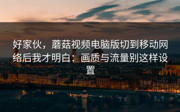 好家伙，蘑菇视频电脑版切到移动网络后我才明白：画质与流量别这样设置