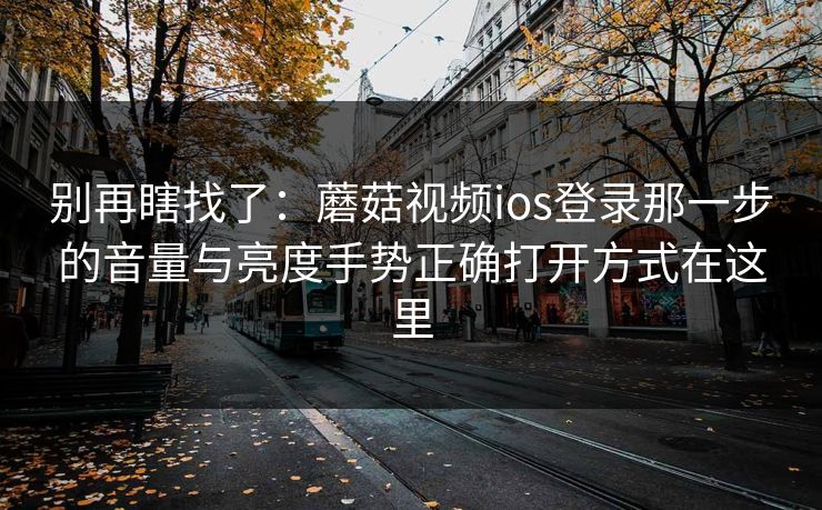 别再瞎找了：蘑菇视频ios登录那一步的音量与亮度手势正确打开方式在这里