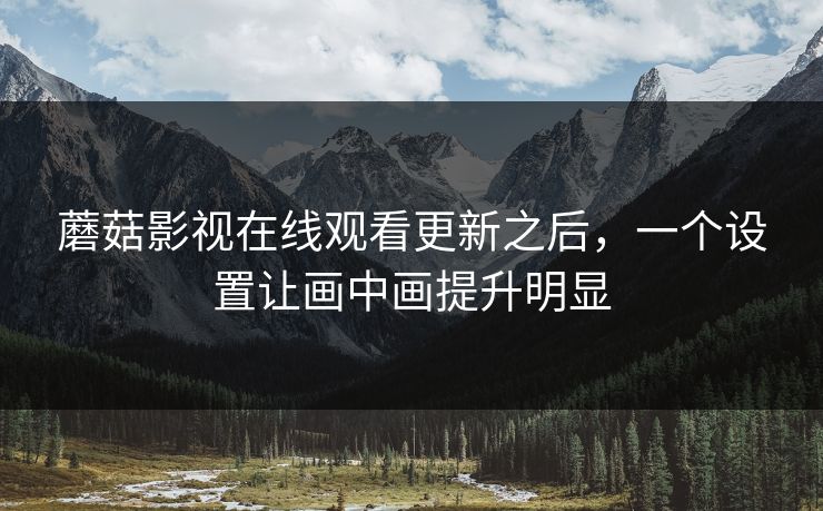 蘑菇影视在线观看更新之后，一个设置让画中画提升明显