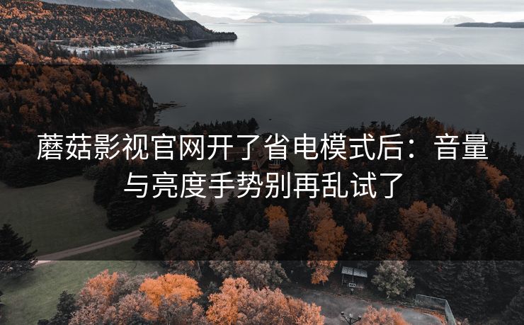 蘑菇影视官网开了省电模式后：音量与亮度手势别再乱试了