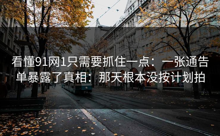 看懂91网1只需要抓住一点：一张通告单暴露了真相：那天根本没按计划拍