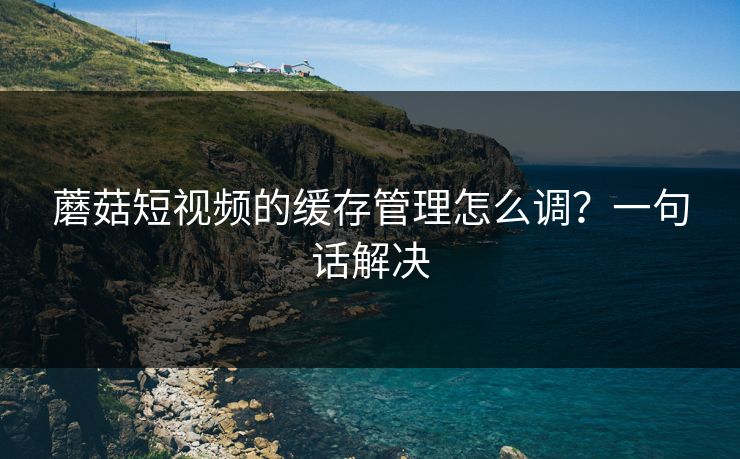 蘑菇短视频的缓存管理怎么调？一句话解决