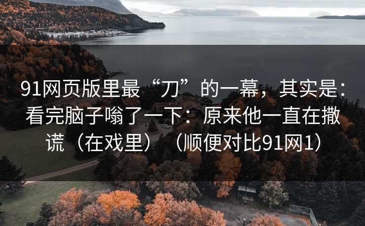 91网页版里最“刀”的一幕，其实是：看完脑子嗡了一下：原来他一直在撒谎（在戏里）（顺便对比91网1）