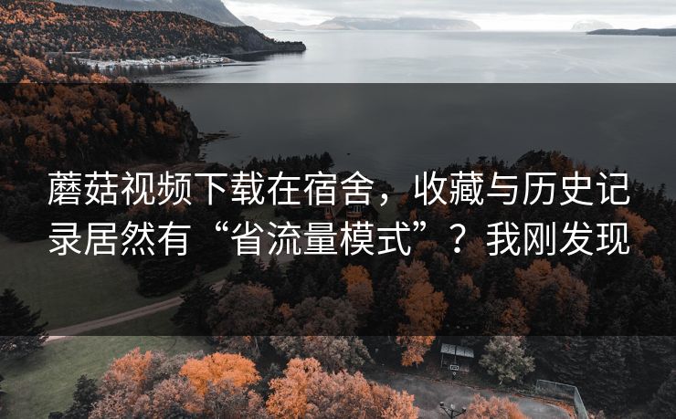 蘑菇视频下载在宿舍，收藏与历史记录居然有“省流量模式”？我刚发现