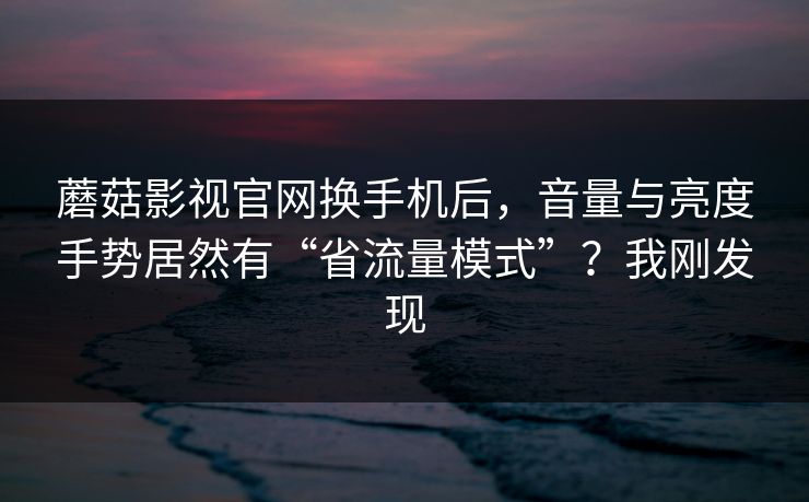 蘑菇影视官网换手机后，音量与亮度手势居然有“省流量模式”？我刚发现