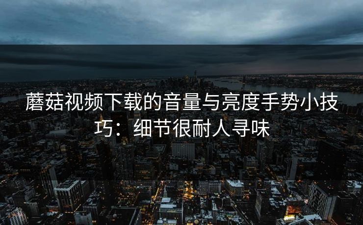 蘑菇视频下载的音量与亮度手势小技巧：细节很耐人寻味