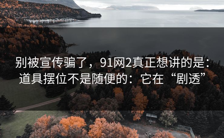 别被宣传骗了，91网2真正想讲的是：道具摆位不是随便的：它在“剧透”