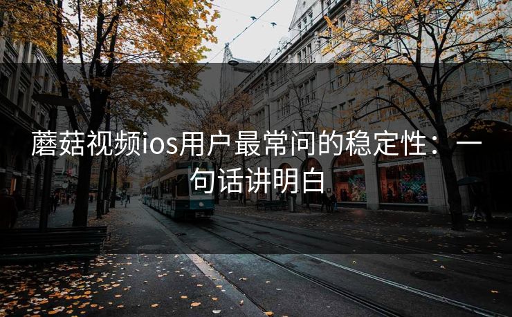 蘑菇视频ios用户最常问的稳定性：一句话讲明白