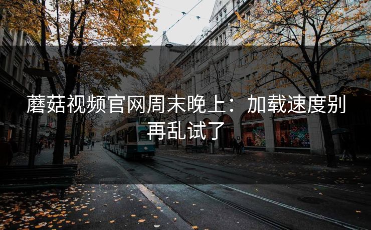 蘑菇视频官网周末晚上:加载速度别再乱试了 蘑菇视频官网周末晚上:加载速度别再乱试了