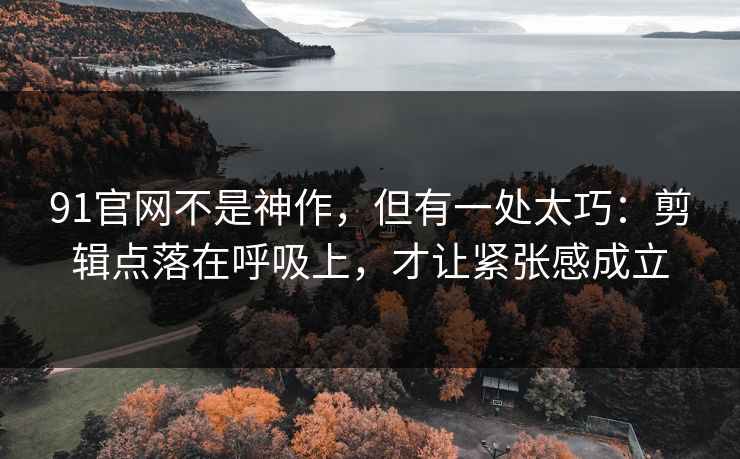 91官网不是神作，但有一处太巧：剪辑点落在呼吸上，才让紧张感成立