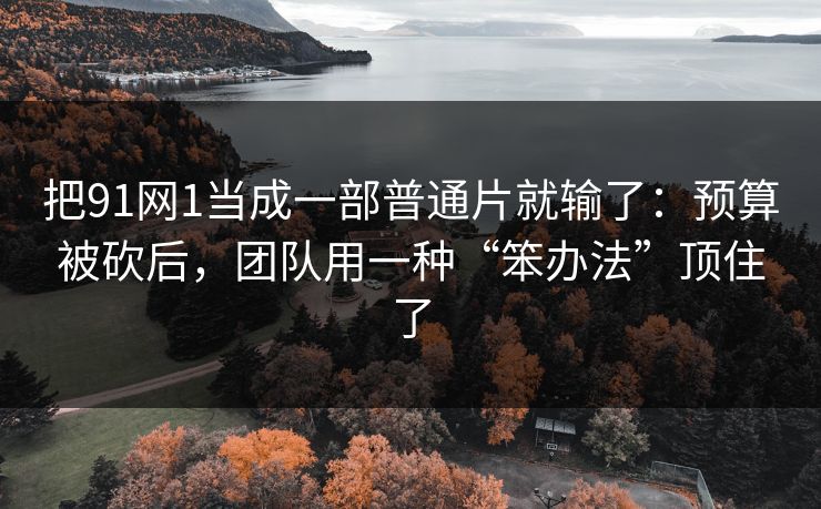 把91网1当成一部普通片就输了：预算被砍后，团队用一种“笨办法”顶住了