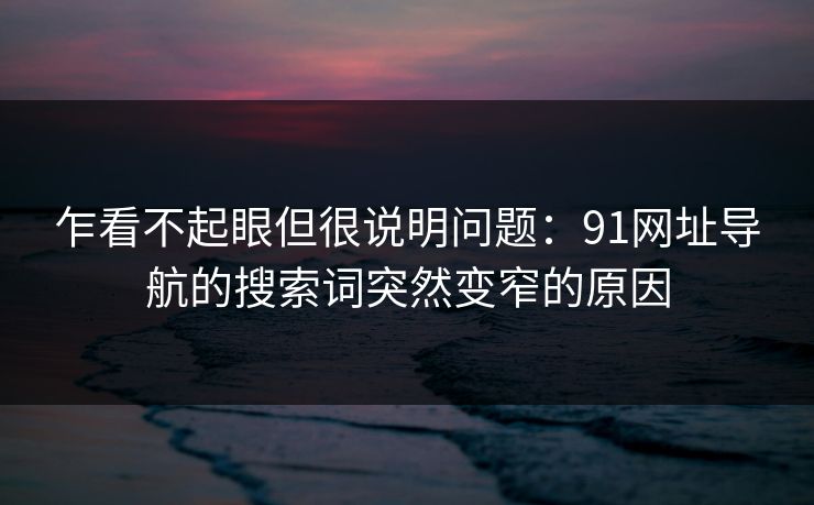 乍看不起眼但很说明问题：91网址导航的搜索词突然变窄的原因